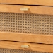 Baxton Studio Jenn Golden Brown Wood Japandi 4-Drawer Chest with Distressed-Finished Rattan - MG9006-5703R Rattan/NTOak1203-4D-Chest