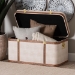 Baxton Studio Brenner Modern Transitional Beige Faux Shagreen Storage Trunk - JY24A092-Large-Beige/Shagreen-Storage Ottoman