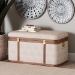 Baxton Studio Brenner Modern Transitional Beige Faux Shagreen Storage Trunk - JY24A092-Large-Beige/Shagreen-Storage Ottoman