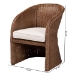 bali & pari Memphis Bohemian Peanut Brown Braided Rattan Arm Chair - Memphis-Peanut Brown/Rattan-CC