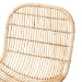 bali & pari Rosalba Bohemian Light Honey Rattan 2-Piece S-Curve Dining Chair Set - S-Curve Decor-Light Honey Rattan-DC