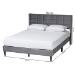 Baxton Studio Payne Modern Glam Grey Velvet and Dark Brown Wood Queen Bed - CFSP0835-C-Grey-Queen