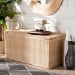 bali & pari Caden Braided Natural Rattan Chest with Lift -top Lid - Coastal Boho Style Storage Bench for Bedroom, Entryway, or Living Room Organization - WS128-Natural Rattan-Storage Bench