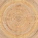 bali & pari Tokyo Laminated Natural Rattan Coffee Table - Handcrafted Bowl -Shaped Center Table for Living Room, Coastal Boho Style Furniture in Natural Brown - Tokyo-Natural Rattan-Coffee Table