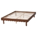 Baxton Studio Orianthe Wood Platform Bed Frame with Scalloped Edge Design - Low Profile Bed Base with Round Legs, Modern Minimalist Bedroom Furniture, Queen Size - MG0245-Walnut Rattan-Bed Frame-Queen