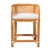bali & pari Aria Natural Rattan Counter Stool with Backrest and Removable Cushion - Handwoven Cane Counter Height Seating for Kitchen Island or Dining Area - Ania-Light Honey/Rattan-CS