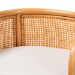 bali & pari Aria Natural Rattan Counter Stool with Backrest and Removable Cushion - Handwoven Cane Counter Height Seating for Kitchen Island or Dining Area - Ania-Light Honey/Rattan-CS