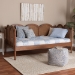 Baxton Studio Carmiya Scalloped Daybed - Twin Size Wooden Frame with Rattan Panels, Arched Boho Coastal Style Bed for Living Room or Guest Bedroom - MG0211-Walnut Rattan-Daybed-Twin