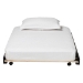 Baxton Studio Lucera Trundle - Underbed Low-Profile Rolling Base for Daybeds and Guest Rooms, Twin, Black - MG24-Black-Trundle