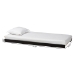 Baxton Studio Lucera Trundle - Underbed Low-Profile Rolling Base for Daybeds and Guest Rooms, Twin, Black - MG24-Black-Trundle