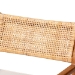 bali & pari Chatura Natural Rattan and Mahogany Wood 2-Piece Dining Armchair Set - Handwoven Wicker Dining Chair with Angled Back, Coastal Boho Seating for Dining or Kitchen - Chao-Natural/Mahogany-Arm-DC-Cushion-KD-Box