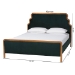 Baxton Studio Gerianne Velvet Upholstered Platform Bed - Classic European Bed Frame with Scalloped Headboard and Wood Trim, Modern Luxe Bedroom Furniture, Queen - BBT61381-Green 26/Walnut-Queen