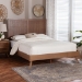 Baxton Studio Noela Platform Bed - Mid-Century Modern Wood Bed Frame with Panel Headboard and Angled Legs for Bedroom or Guest Room, King - Noela-Ash Walnut-King