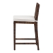 bali & pari Sofia Rattan Counter Stool with Mahogany Wood Frame - Handwoven Wicker Counter Height Chair with Cushion, Coastal Boho Style Kitchen Island Seating, Antique Coffee - Sofia-Coffee Antique-CS