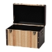 Baxton Studio Manton Storage Trunk - Decorative Storage Chest with Hinged Top and Woven Exterior for Living Room or Bedroom - JY25B016-Large-Wooden Trunk