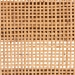 bali & pari Vivan Natural Rattan Storage Cabinet - 2-Tier Handwoven Wicker Accent Cabinet with Double Doors and Elevated Base, Natural Brown - Vivan-SVN2630A-Natural-Cabinet