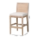 bali & pari Ashford Whitewash Rattan Counter Stool - Mahogany Wood Frame with Handwoven Wicker Backrest and Braided Rope Inserts for Coastal Kitchen - MD-39961-Ashford-White Wash-Wood-Cushion-CS