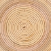 bali & pari Brookwood Natural Rattan End Table : Handcrafted Wicker Sculptural Accent Table with Pedestal Base for Living Room or Sun Room - Brookwood-Natural Rattan-ET