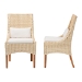 bali & pari Haybourne Natural Rattan 2-Piece Dining Chair Set - Handwoven Wicker Accent Seating with Wingback Frame for Kitchen or Dining Room - Haybourne-Natural Rattan-Cushion-DC
