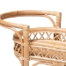 bali & pari Raul Natural Rattan Kitchen Cart - 2-Tier Handwoven Wicker Storage Trolley with Handle for Kitchen or Lounge - Raul-Natural Rattan-Cart