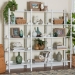 Baxton Studio Lucera Bobbin 5-Tier Display Shelf, White - MG9011-5-White-Shelf