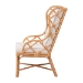 bali & pari Todd Natural Rattan Armchair - Todd-Natural Brown Rattan-Cushion-AC