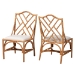 bali & pari Cedric Natural Rattan 2-Piece Dining Chair Set with Cushioned Seat