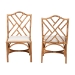 bali & pari Cedric Natural Rattan 2-Piece Dining Chair Set with Cushioned Seat - Cedric-Light Honey Rattan-Cushion-DC