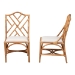 bali & pari Cedric Natural Rattan 2-Piece Dining Chair Set with Cushioned Seat - Cedric-Light Honey Rattan-Cushion-DC