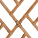 bali & pari Cedric Natural Rattan 2-Piece Dining Chair Set with Cushioned Seat - Cedric-Light Honey Rattan-Cushion-DC