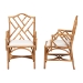 bali & pari Cedric Natural Rattan 2-Piece Dining Armchair Set with Cushioned Seat - Cedric-Light Honey Rattan-Cushion-Arm-DC
