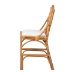 bali & pari Cedric Natural Rattan Counter Stool with Cushioned Seat - Cedric-Light Honey Rattan-Cushion-CS