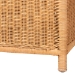 bali & pari Creusa Natural Rattan Storage Bench with Bow Detail - WS295-Large-Honey Ada Rattan-Bench