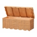bali & pari Yoselin Natural Rattan Storage Bench with Scalloped Edge Frame - WS297-Large-Honey Ada Rattan-Bench