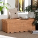 bali & pari Yoselin Natural Rattan Storage Bench with Scalloped Edge Frame - WS297-Large-Honey Ada Rattan-Bench