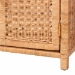 bali & pari Hendrina Natural Rattan and Mahogany Wood Shoe Cabinet, 3-Tier - WS329-Honey Ada Rattan-Shoe Cabinet