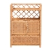 bali & pari Hendrina Natural Rattan and Mahogany Wood Shoe Cabinet, 4-Tier - WS330-Honey Ada Rattan-Shoe Cabinet