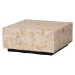 bali & pari Fraley Capiz Shell Coffee Table with Plinth Base - F2508-FT5-Capiz-CT