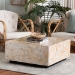 bali & pari Fraley Capiz Shell Coffee Table with Plinth Base - F2508-FT5-Capiz-CT
