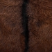 bali & pari Fawn 2-Piece Genuine Goat Leather Dining Chair Set - Fawn-Teak/Goat Hide-DC