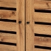 Baxton Studio Vander Modern and Contemporary Oak Brown Finished Wood and Black Metal 2-Door Shoe Cabinet - MP007-Wotan Oak-Shoe Cabinet