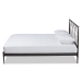 Baxton Studio Nano Modern and Contemporary Black Bronze Finished Metal Queen Size Platform Bed - TS-Nano-Black-Queen