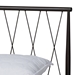 Baxton Studio Nano Modern and Contemporary Black Bronze Finished Metal Queen Size Platform Bed - TS-Nano-Black-Queen