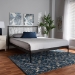 Baxton Studio Nano Modern and Contemporary Black Bronze Finished Metal Queen Size Platform Bed - TS-Nano-Black-Queen