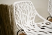 Baxton Studio Birch Sapling White Plastic Accent / Dining Chair (Set of 2) - DC-451-White