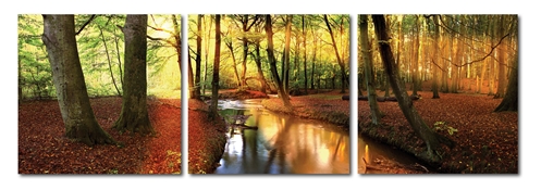 Forest Oasis Mounted Photography Print Triptych Baxton Studio Forest Oasis Mounted Photography Print Triptych, wholesale furniture, restaurant furniture, hotel furniture, commercial furniture