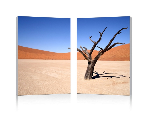 Baxton Studio Desert Solitude Mounted Photography Print Diptych