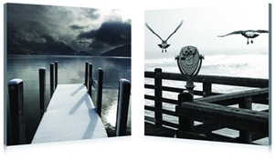 Baxton Studio Lake Lookout Mounted Photography Print Diptych