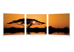 Savannah Sunset Mounted Photography Print Triptych