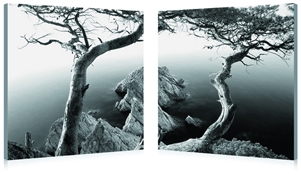 Baxton Studio Rocky Shore Mounted Photography Print Diptych